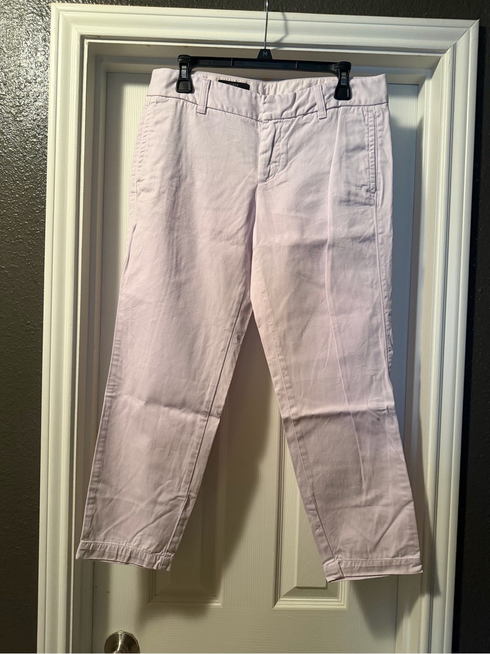 J. Crew Pastel Purple Scout Pants